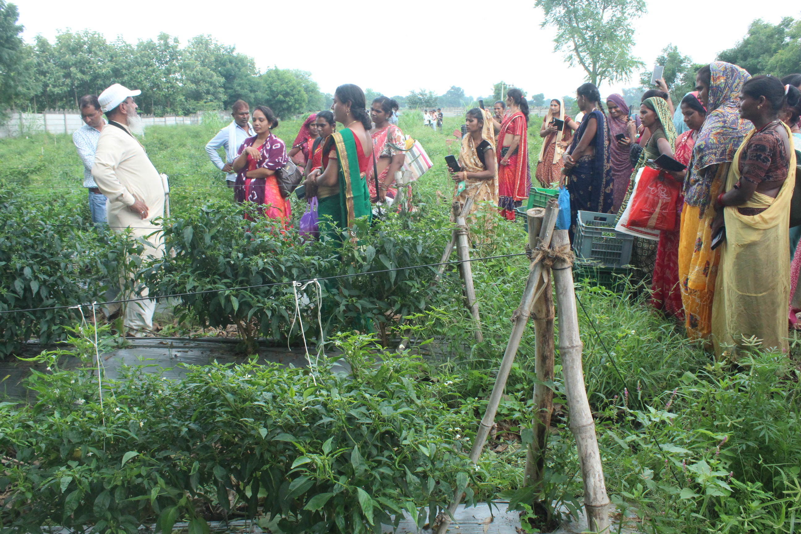 प्राकृतिक खेती पर कृषि सखी प्रशिक्षण कार्यक्रम संपन्न