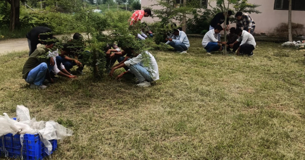 जीरो वेस्ट प्लास्टिक ड्राइव का आयोजन