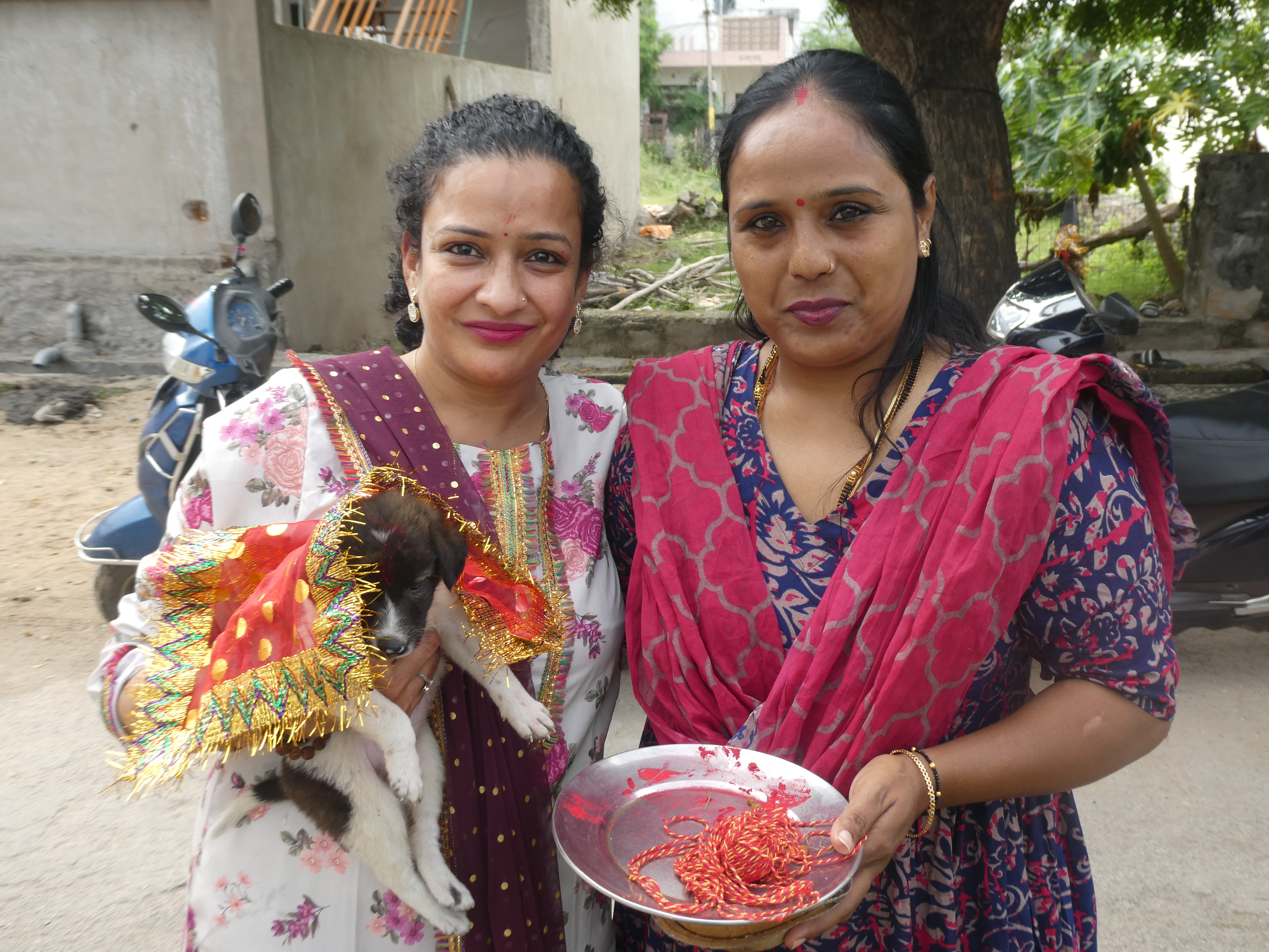महा नवमी के दिन एनिमल प्रोटेक्शन सोसाइटी द्वारा पशुओं की पूजा और भोज का आयोजन, दया और संवेदनशीलता का संदेश