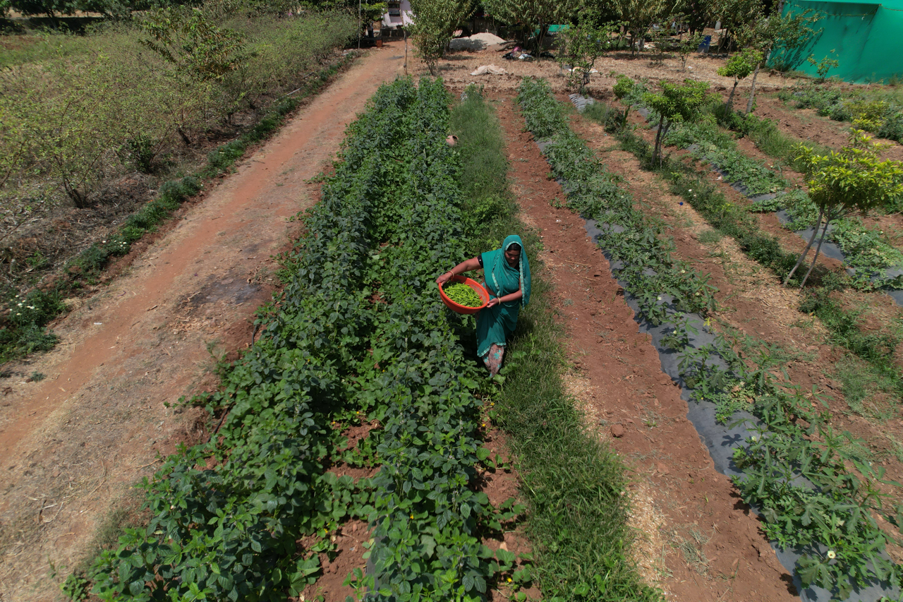 #### Hindustan Zinc’s Samadhan Transforms 35,000 Farmer Families Through Sustainable Farming