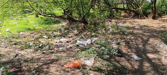 The water of Akodara's lakes was already contaminated before reaching